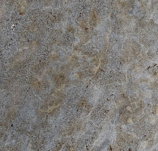 Rebstock-Muschelkalk-fein