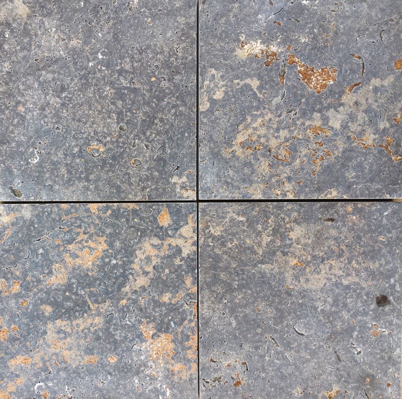 Rebstock Muschelkalk