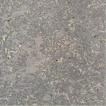 Sellenberger-Muschelkalk